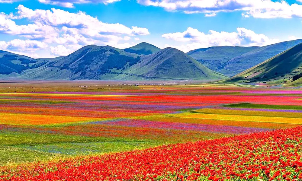 Castelluccio